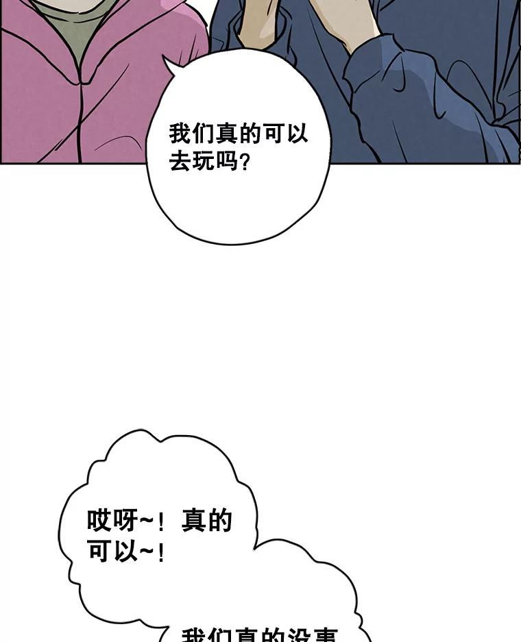 《消失的新郎》85.重新开始 第52页