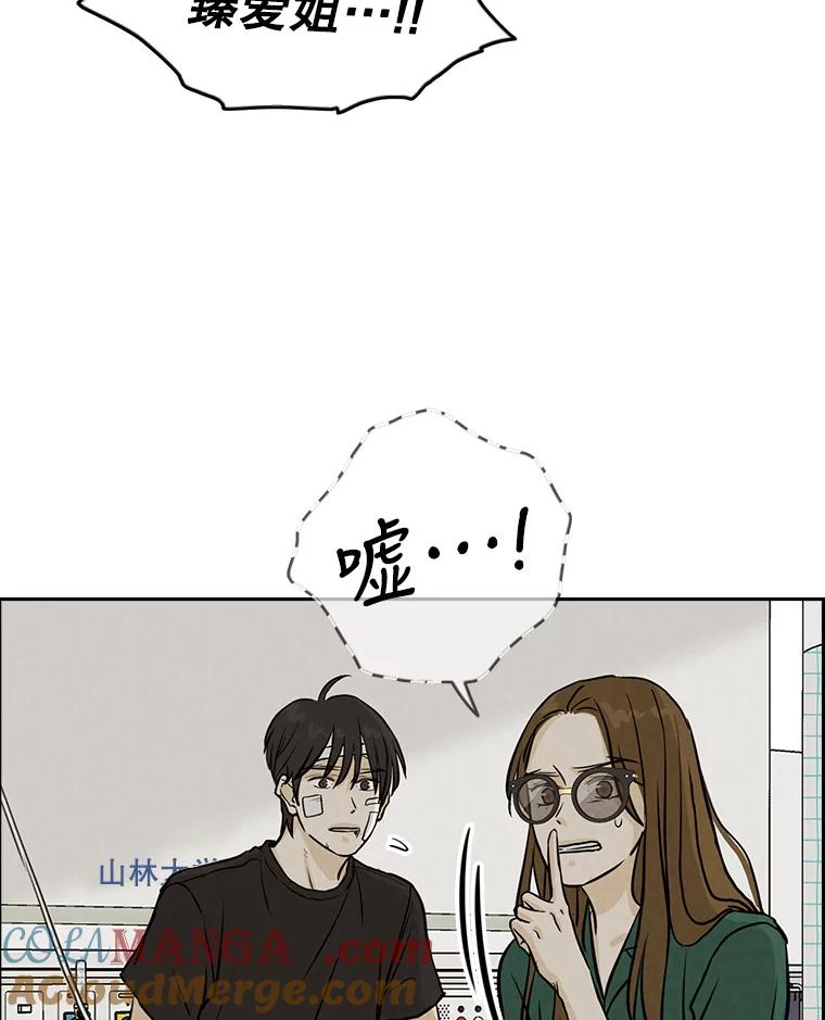 《消失的新郎》85.重新开始 第17页