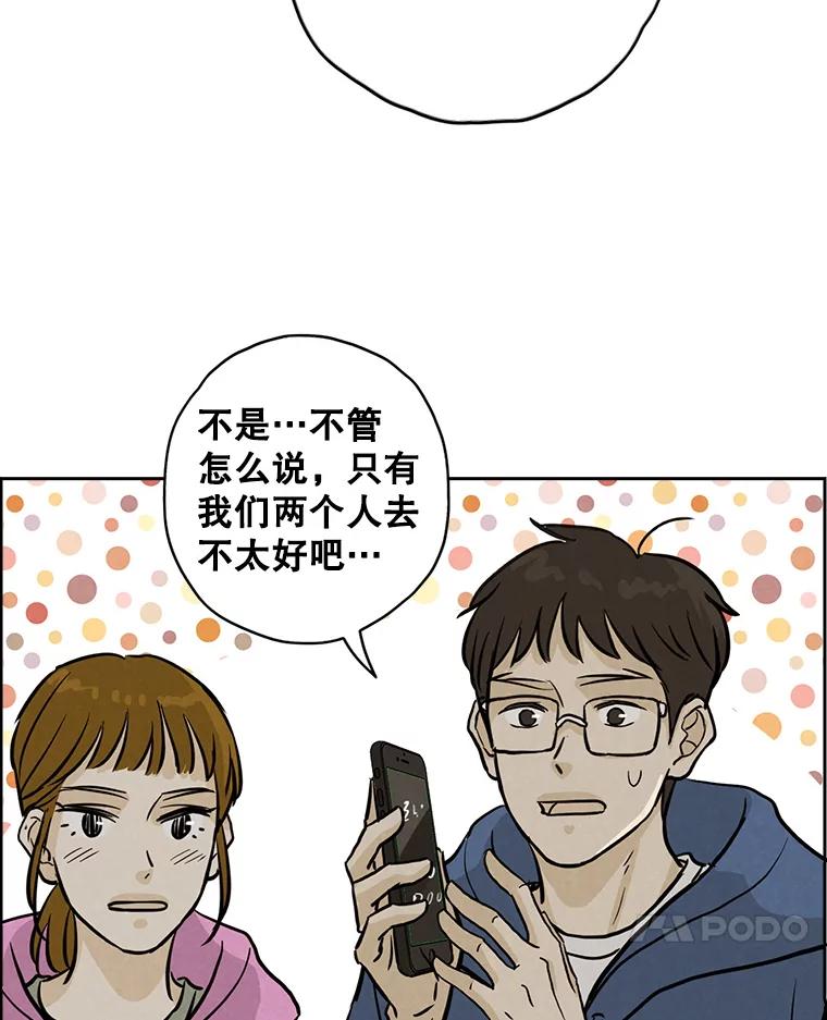 《消失的新郎》85.重新开始 第51页