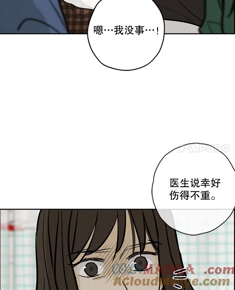 《消失的新郎》85.重新开始 第21页