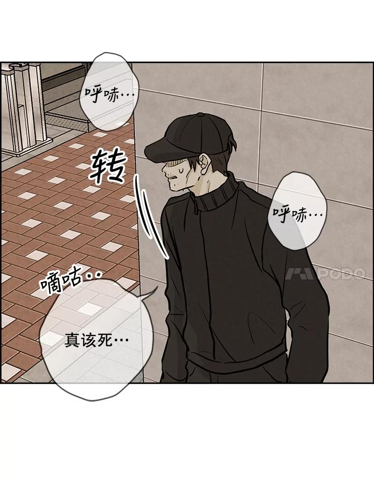 《消失的新郎》85.重新开始 第7页