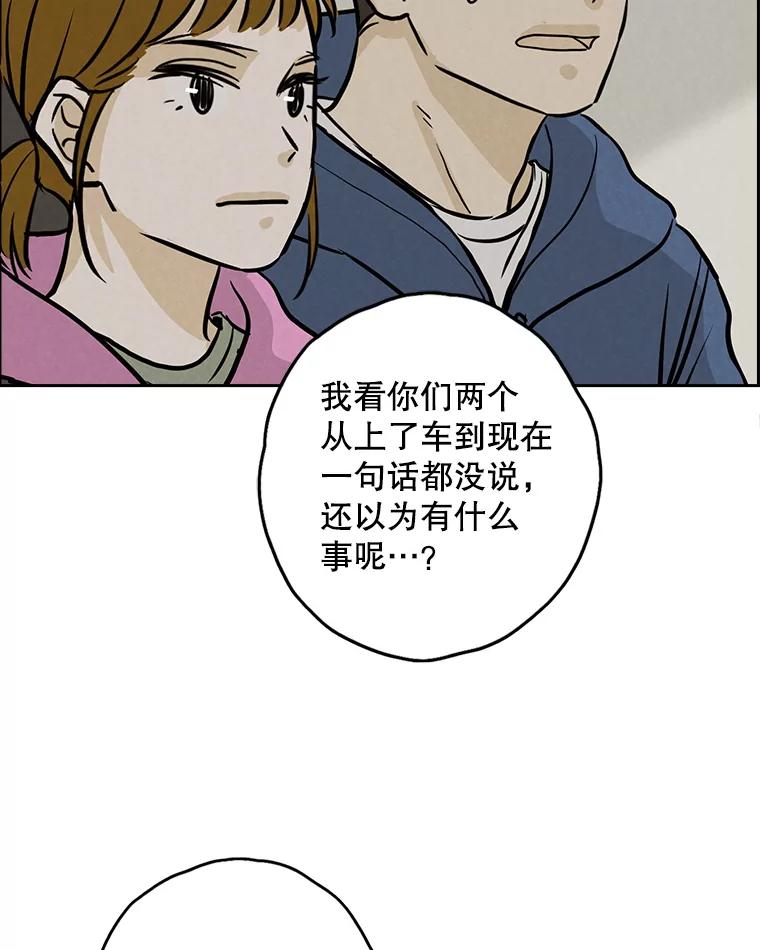 《消失的新郎》85.重新开始 第42页