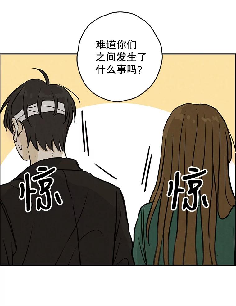 《消失的新郎》85.重新开始 第39页