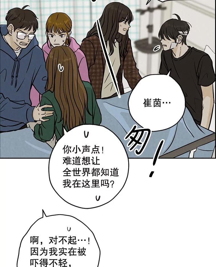 《消失的新郎》85.重新开始 第19页