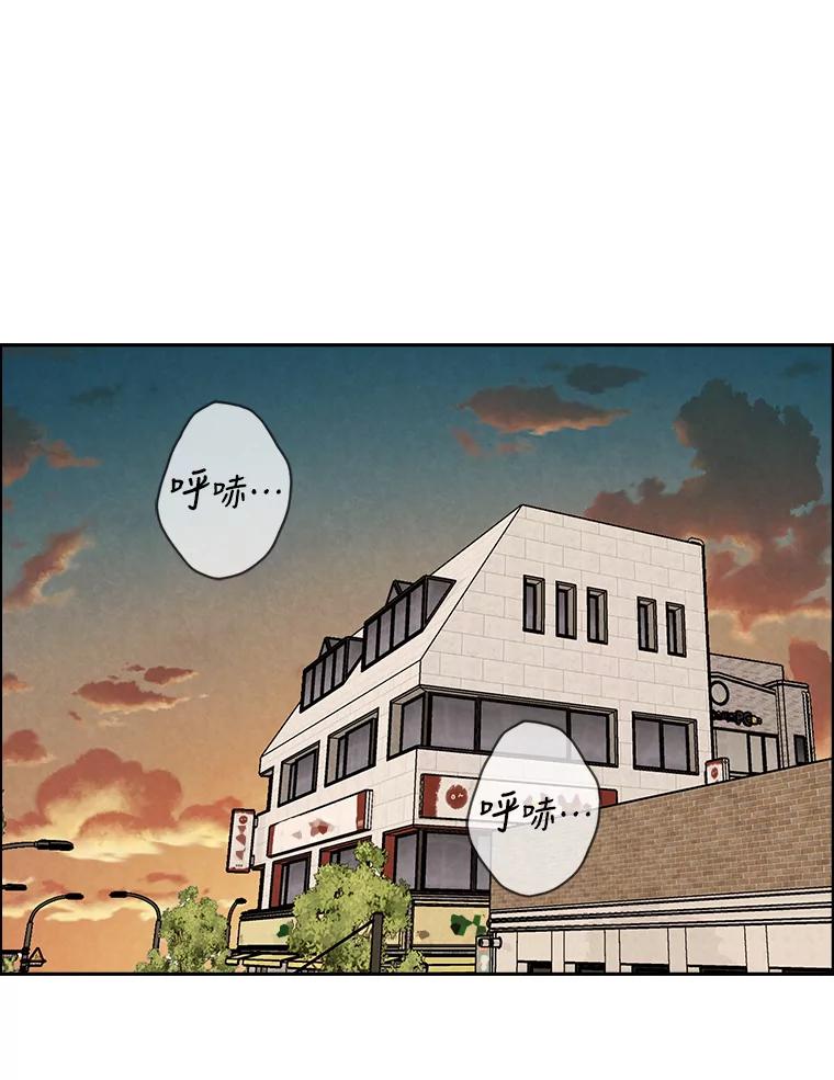 《消失的新郎》85.重新开始 第2页
