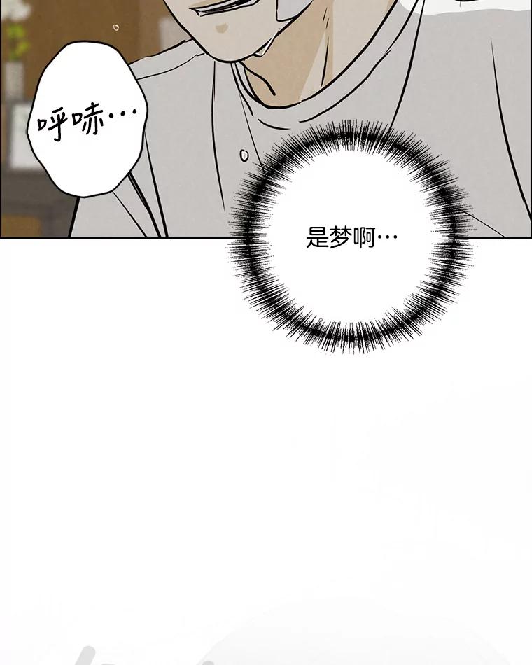 《消失的新郎》86.斩断情丝 第11页