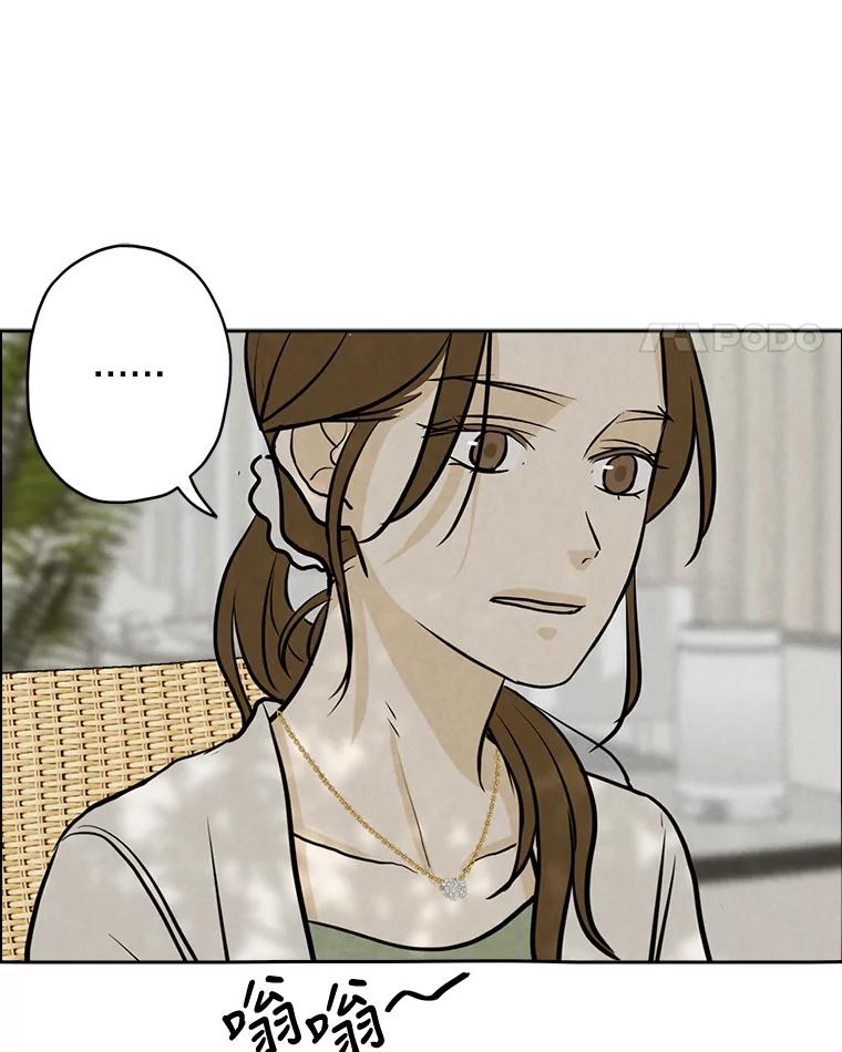 《消失的新郎》86.斩断情丝 第64页