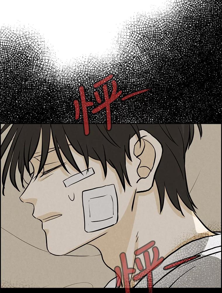 《消失的新郎》86.斩断情丝 第3页