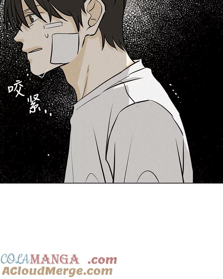 《消失的新郎》86.斩断情丝 第13页