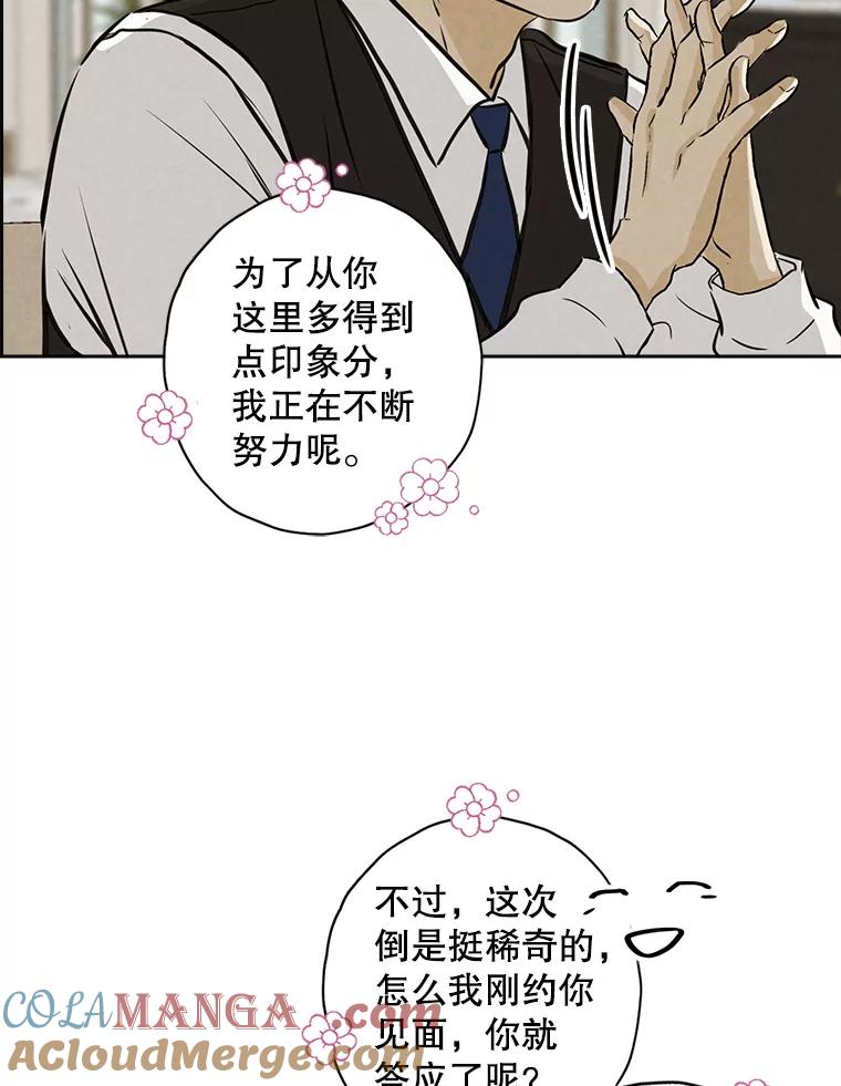 《消失的新郎》86.斩断情丝 第89页