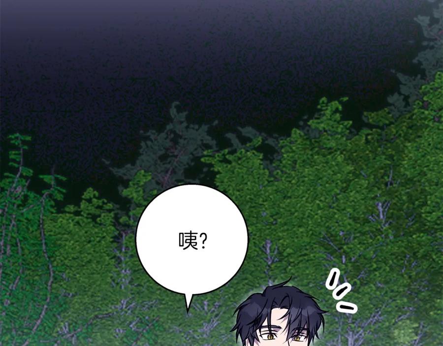 《Winter Wolf》第44话 孤独的狼 第12页