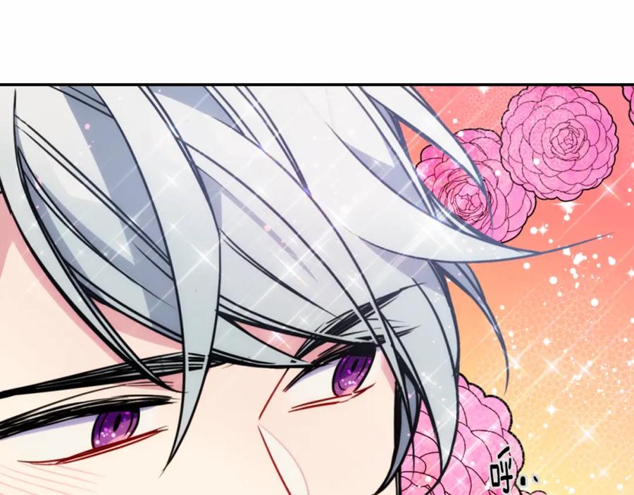 《阿黛尔的冷面公爵》第50话 结婚条件 第47页