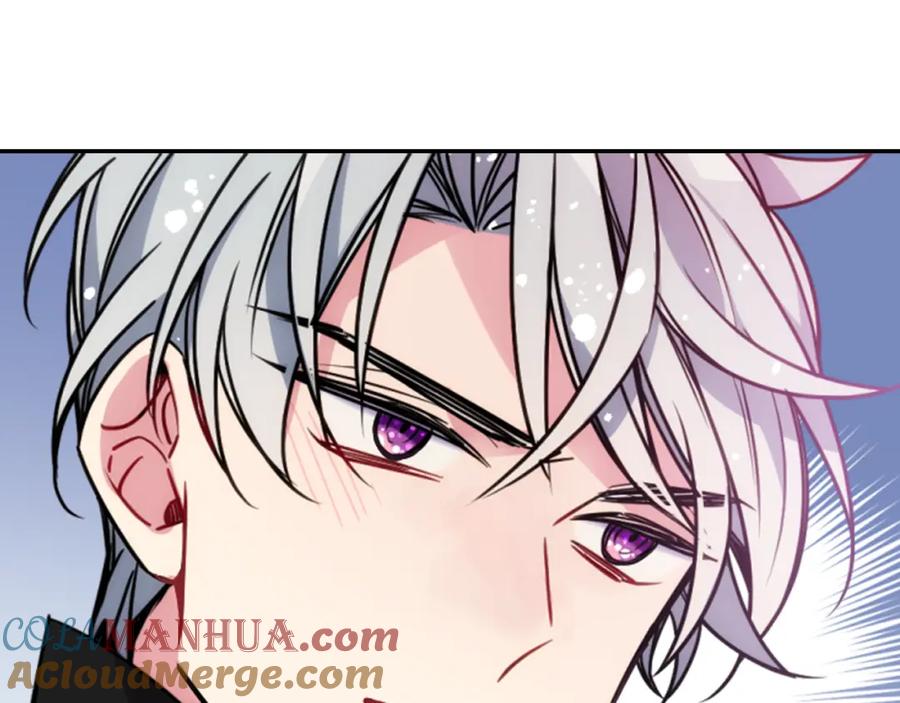 《阿黛尔的冷面公爵》第54话 请让我保护你 第117页