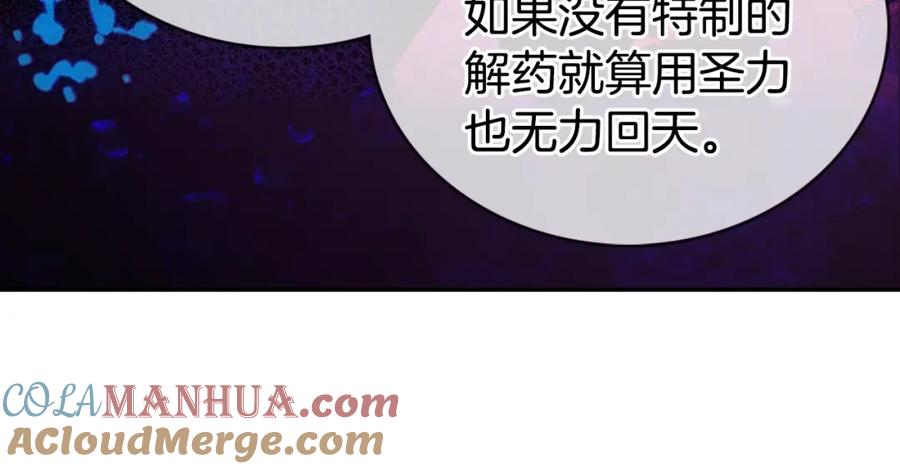 《阿黛尔的冷面公爵》第66话 公爵的危机 第17页