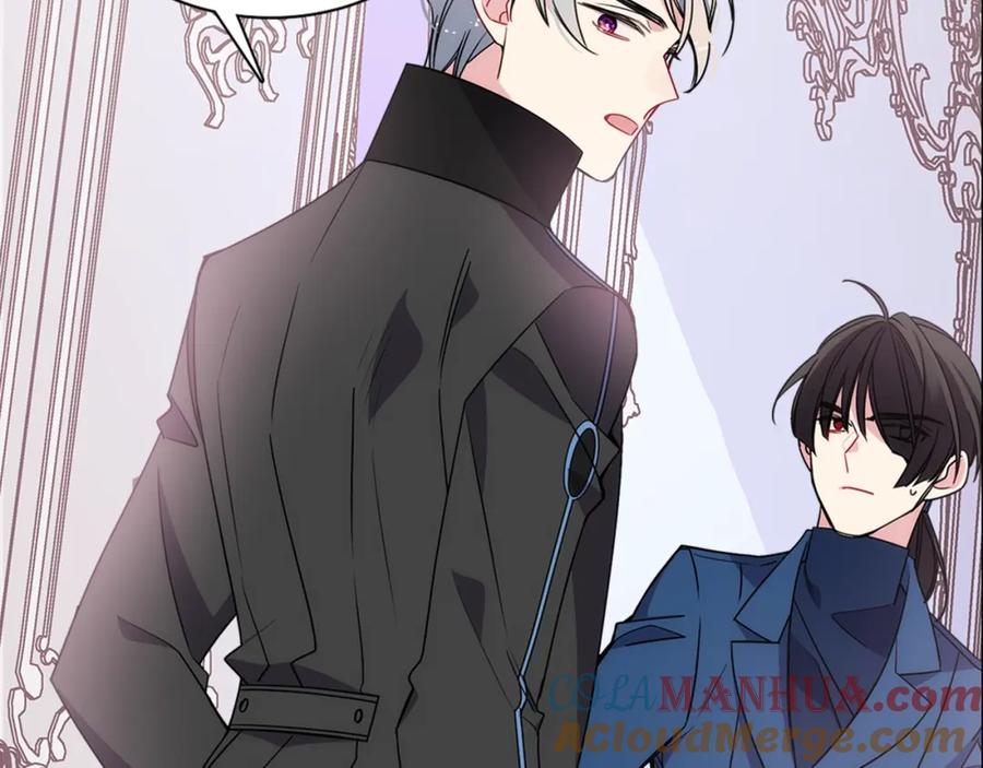 《阿黛尔的冷面公爵》第67话 粉碎阴谋 第117页