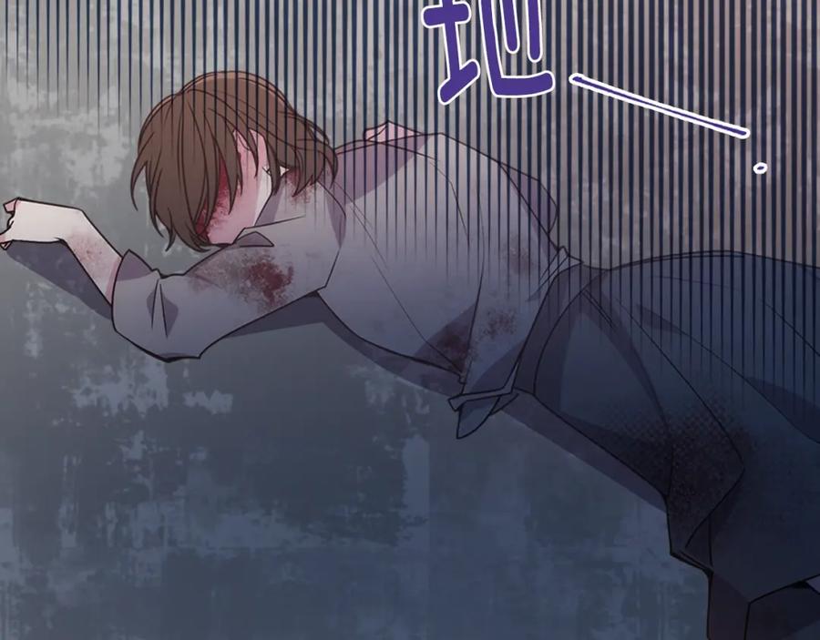 《阿黛尔的冷面公爵》第67话 粉碎阴谋 第4页