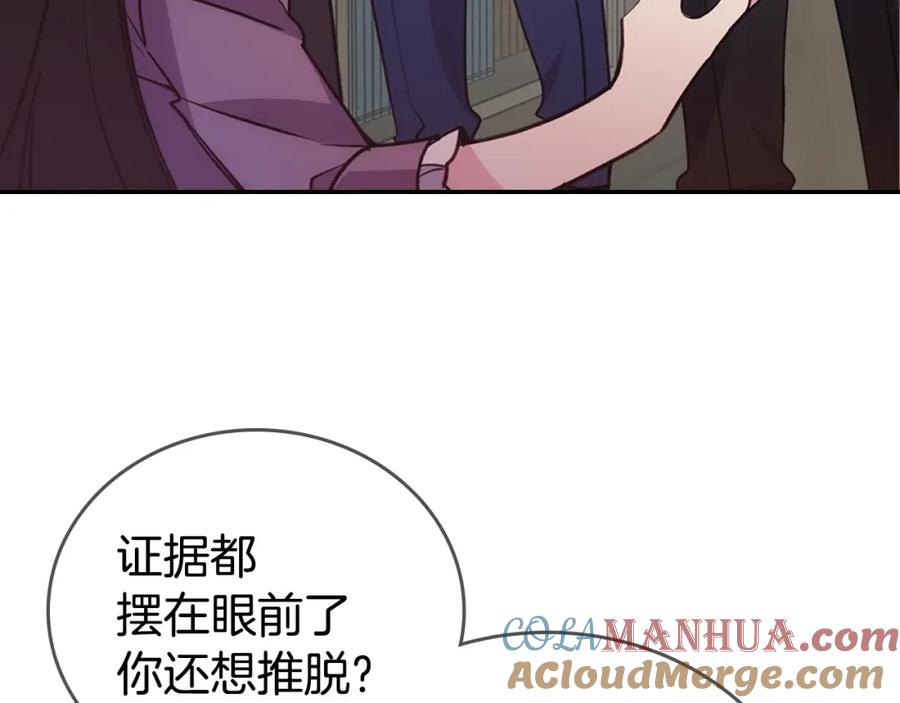 《阿黛尔的冷面公爵》第70话 定罪 第17页