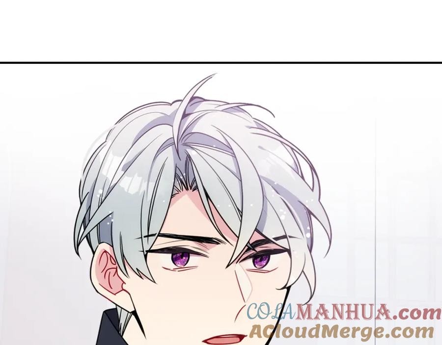《阿黛尔的冷面公爵》第78话 一生挚爱 第29页