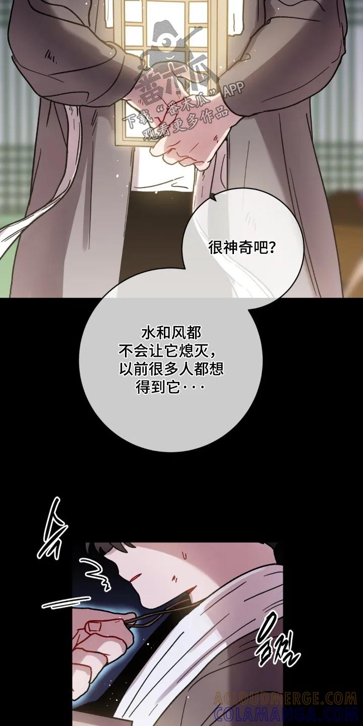 《复生之缘》第148章：我记住了 第13页