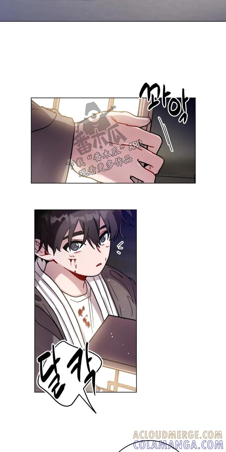 《复生之缘》第149章：收留你 第13页