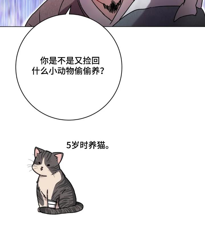 《复生之缘》第151章：你不介意的话 第4页