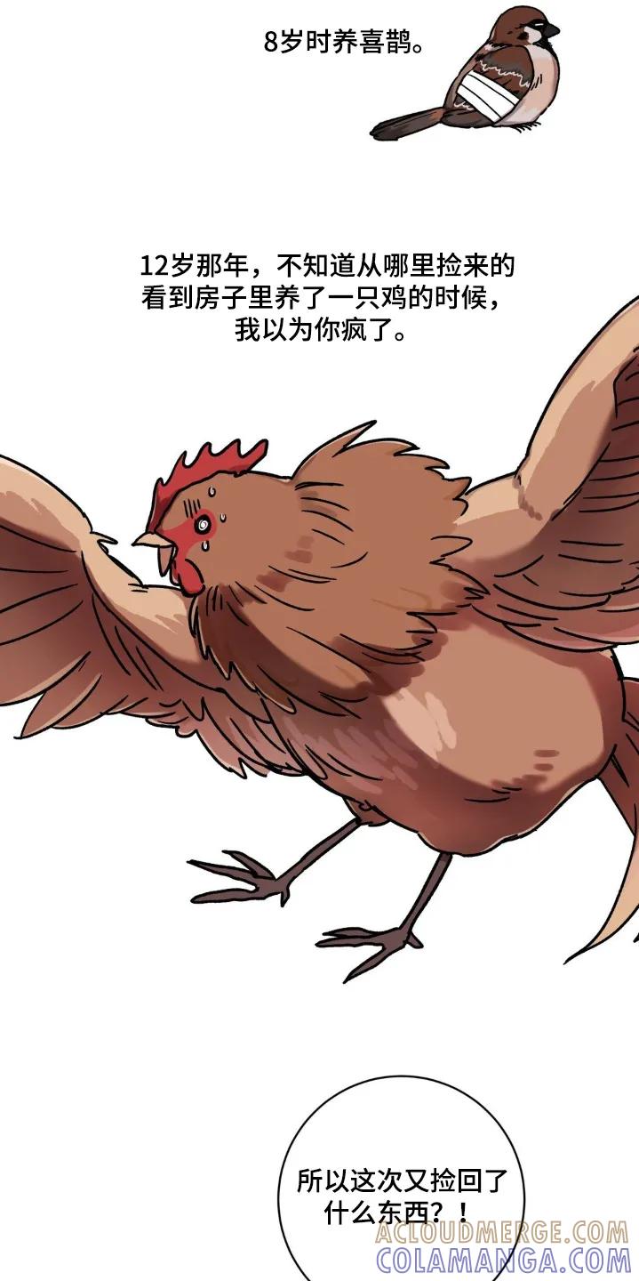 《复生之缘》第151章：你不介意的话 第5页