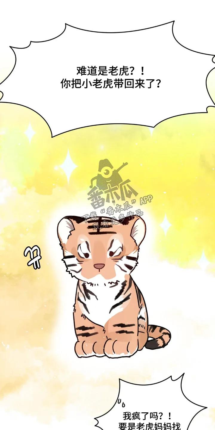 《复生之缘》第154章：老虎 第12页