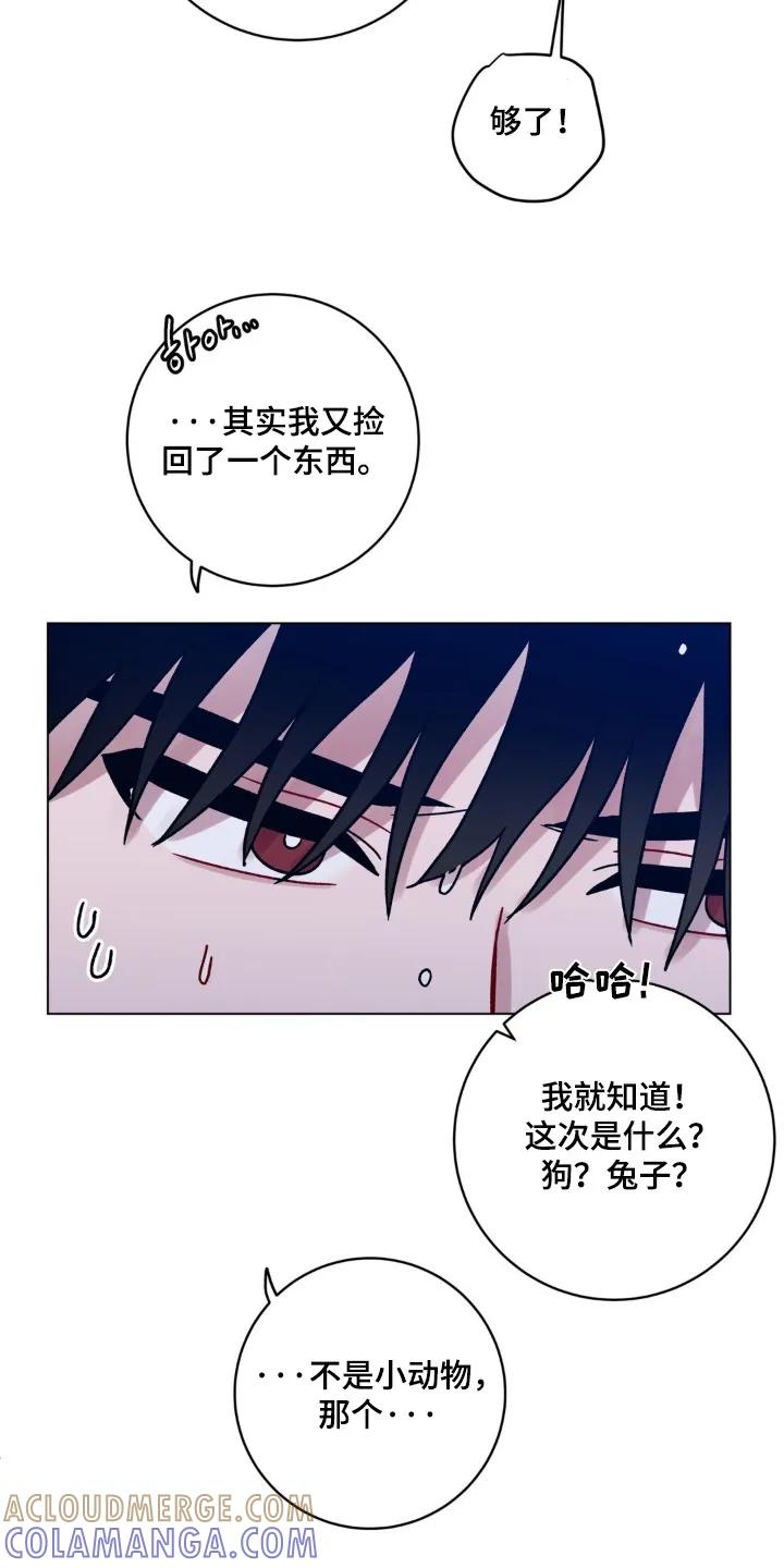 《复生之缘》第154章：老虎 第11页