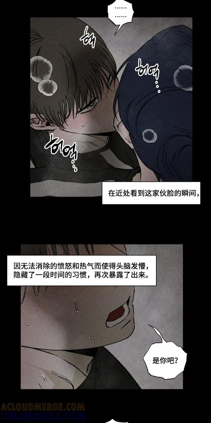 《强人锁男》第70章：是因为你 第5页