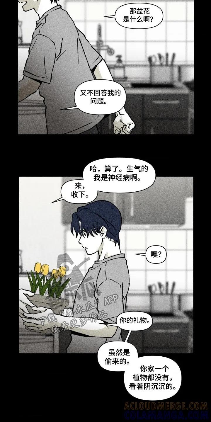 《强人锁男》第80章：你的礼物 第11页