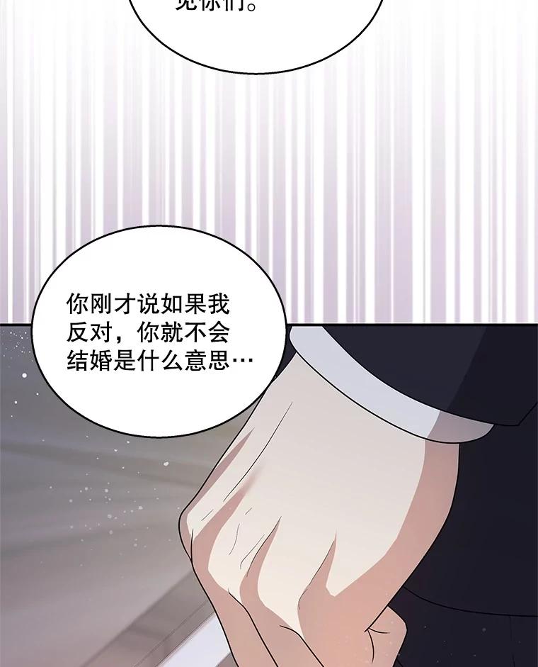 《爱的契约》12.允许结婚 第35页