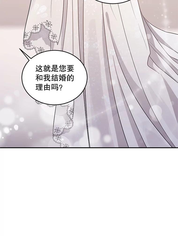 《爱的契约》20.结婚 第63页