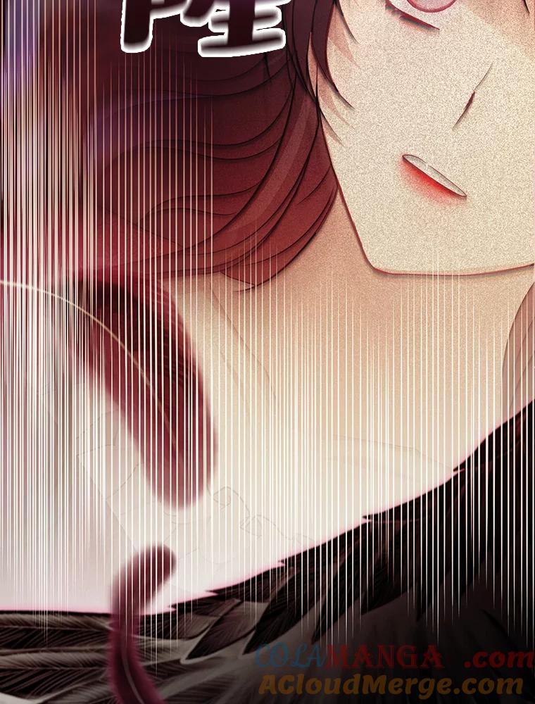 《预知未来的洛琳》68.被皇子带走 第101页