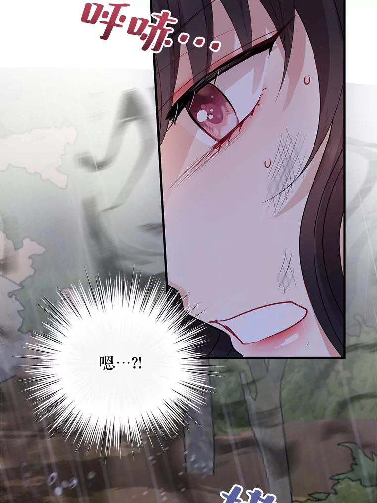 《预知未来的洛琳》68.被皇子带走 第88页