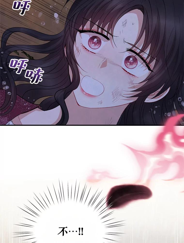 《预知未来的洛琳》68.被皇子带走 第98页