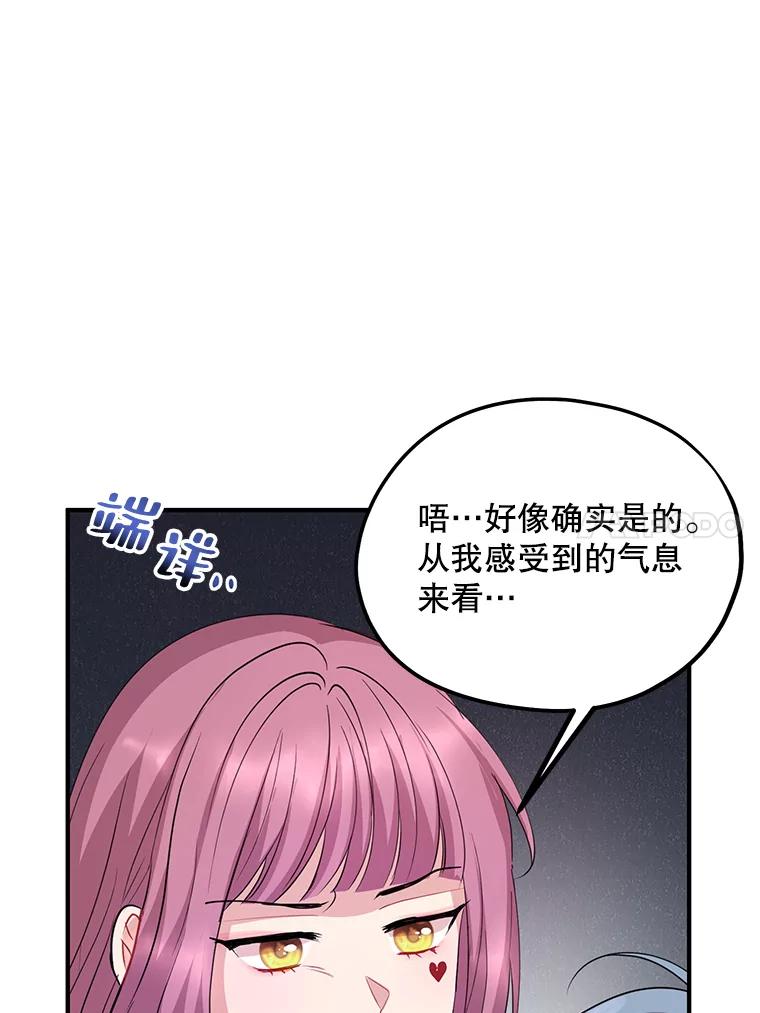 《预知未来的洛琳》75.皇子开始行动 第78页