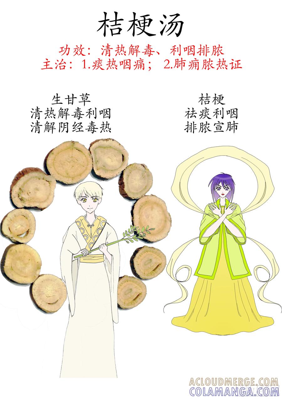 《本草传》甘草汤、桔梗汤 第4页