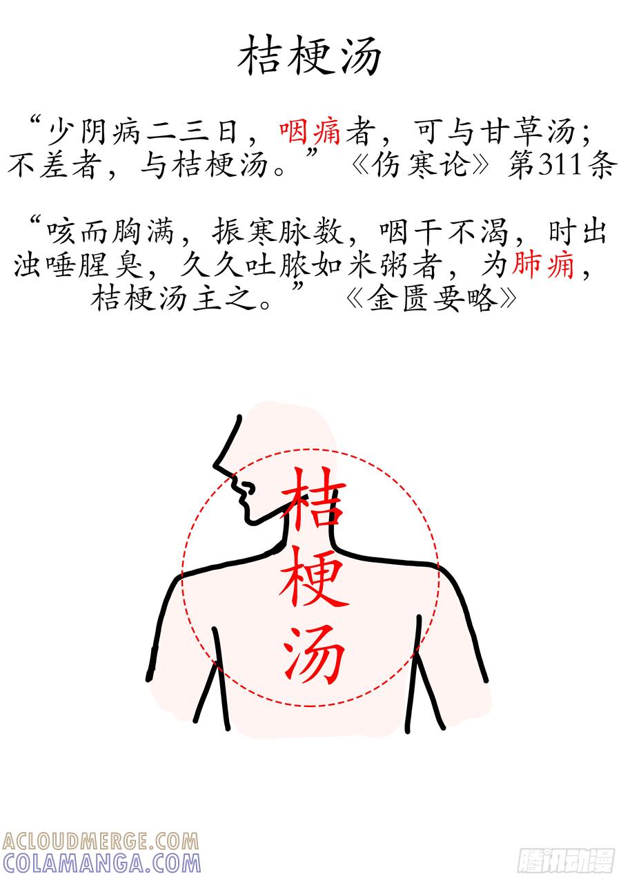 《本草传》甘草汤、桔梗汤 第2页
