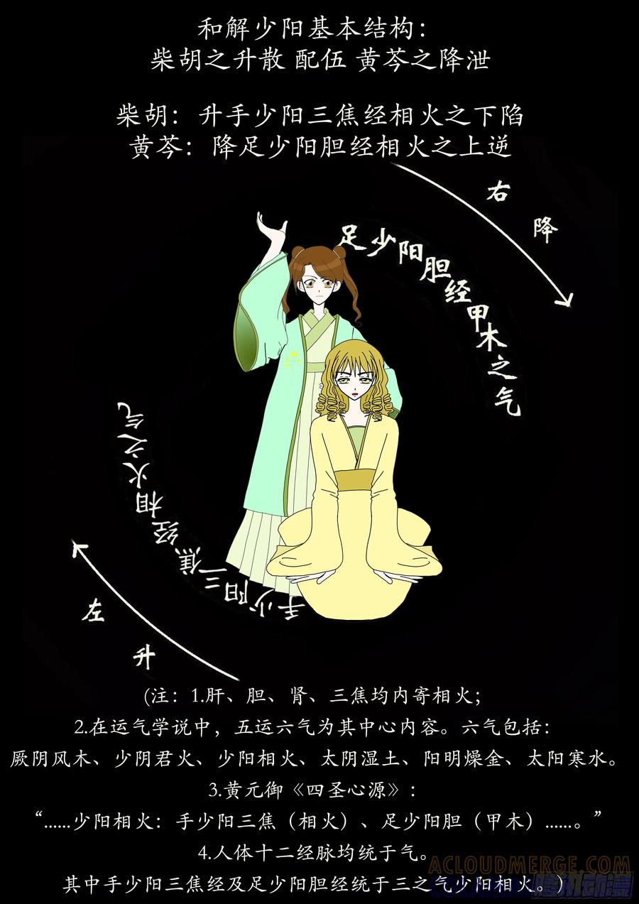 《本草传》和解少阳 小柴胡汤 第5页