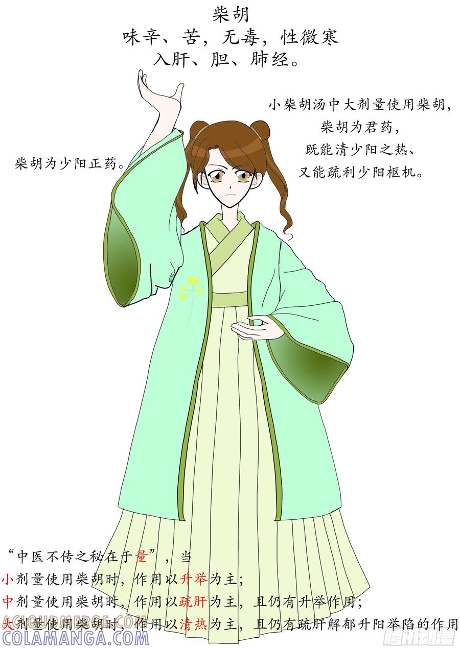 《本草传》和解少阳 小柴胡汤 第6页