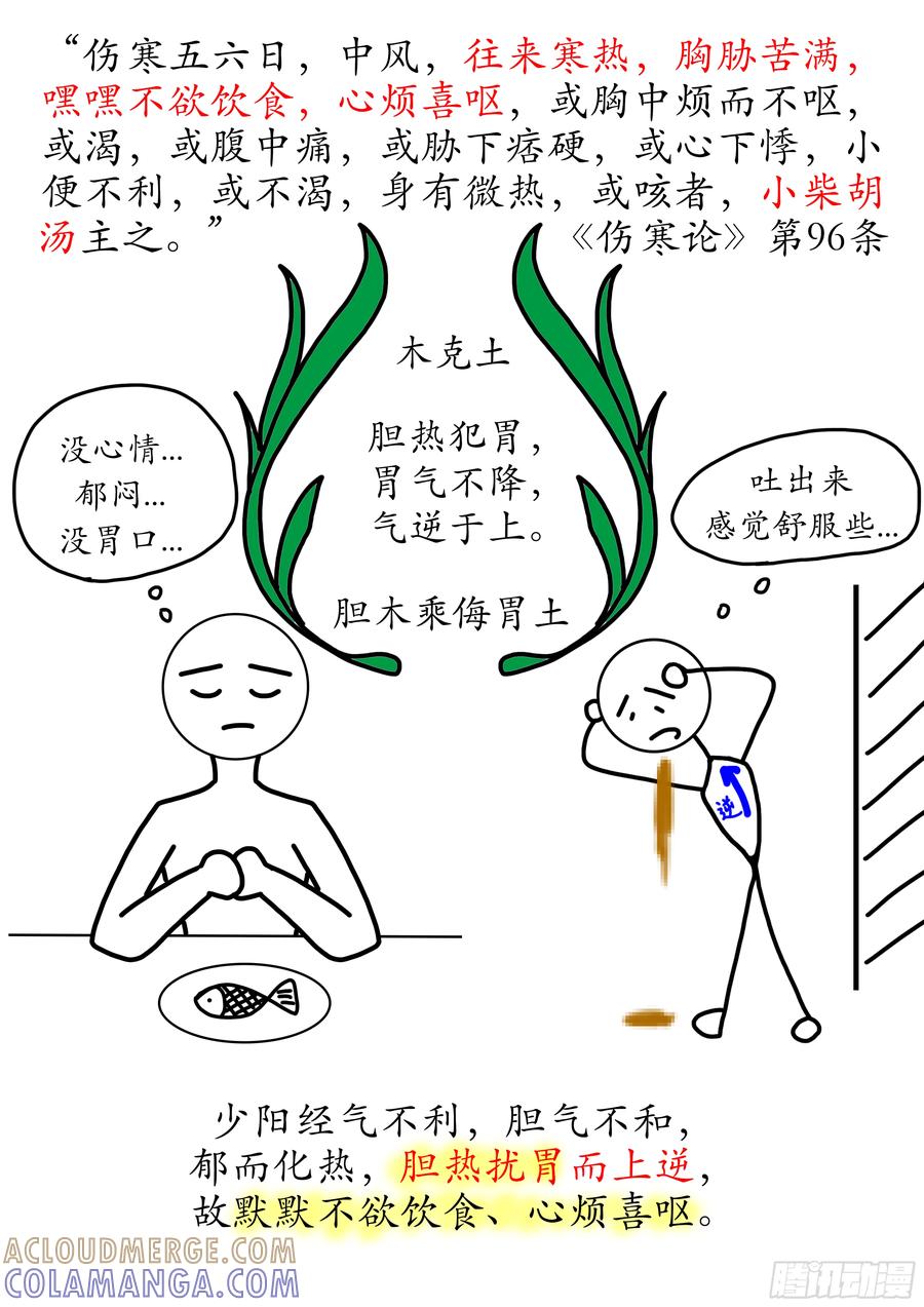 《本草传》和解少阳 小柴胡汤 第4页