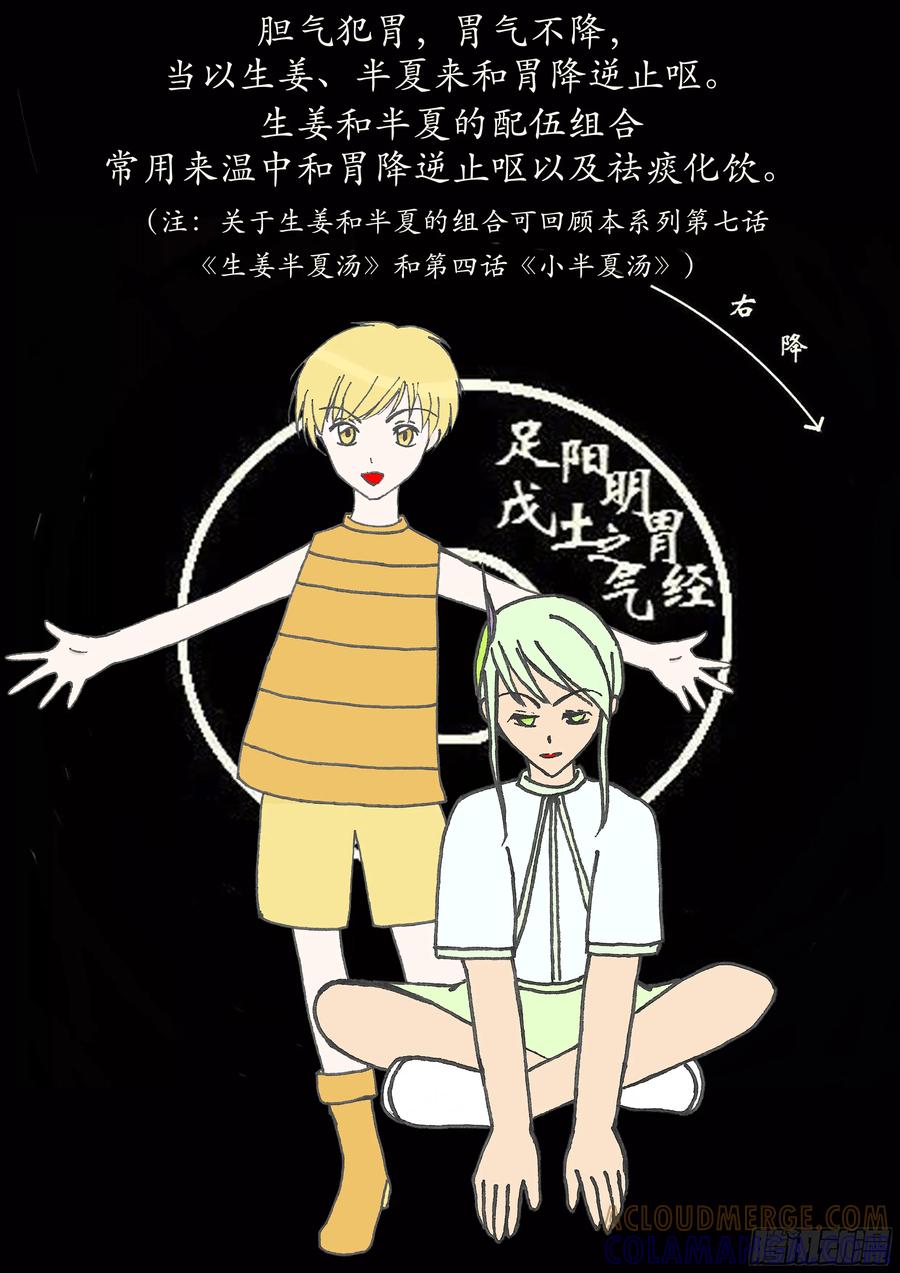 《本草传》和解少阳 小柴胡汤 第8页