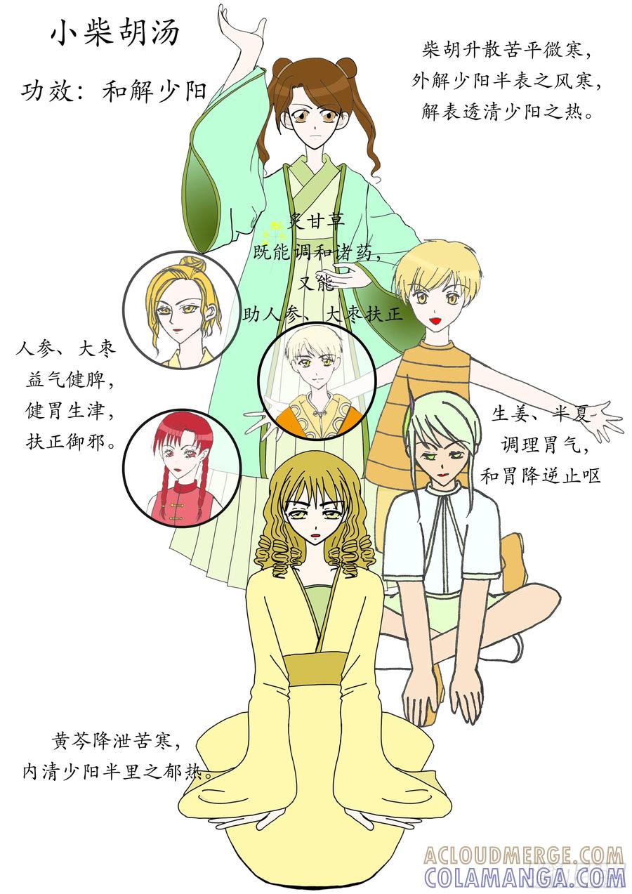 《本草传》和解少阳 小柴胡汤 第9页
