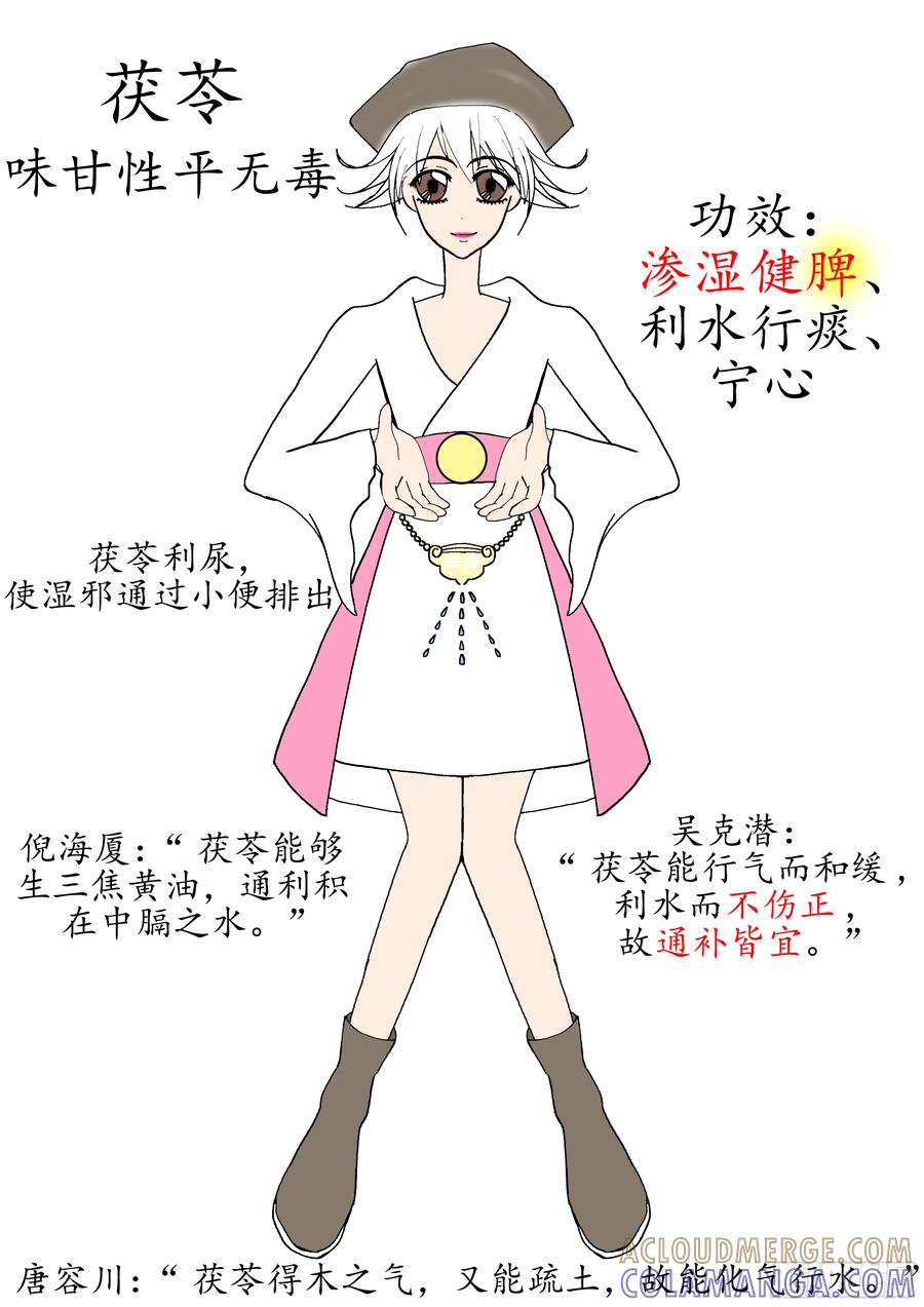 《本草传》茯苓戎盐汤 第4页