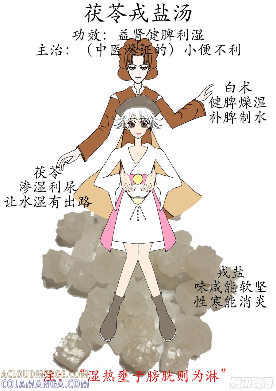 《本草传》茯苓戎盐汤 第2页