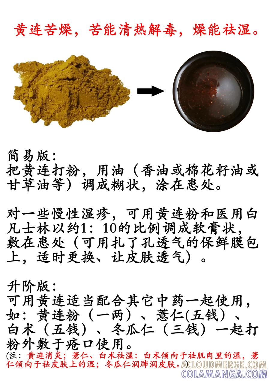 《本草传》黄连粉 第4页