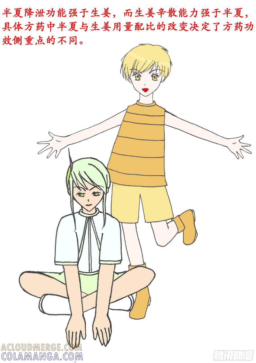 《本草传》生姜半夏汤 第6页