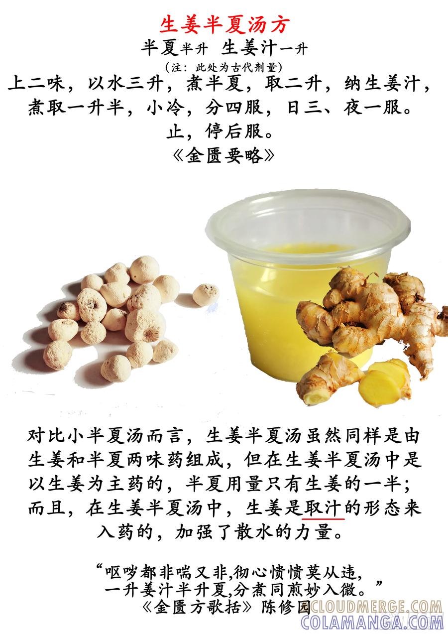 《本草传》生姜半夏汤 第4页