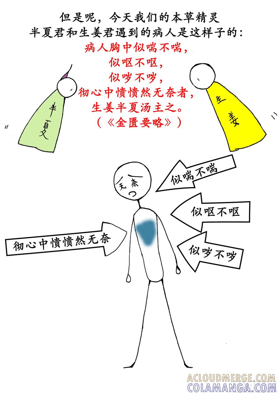 《本草传》生姜半夏汤 第3页
