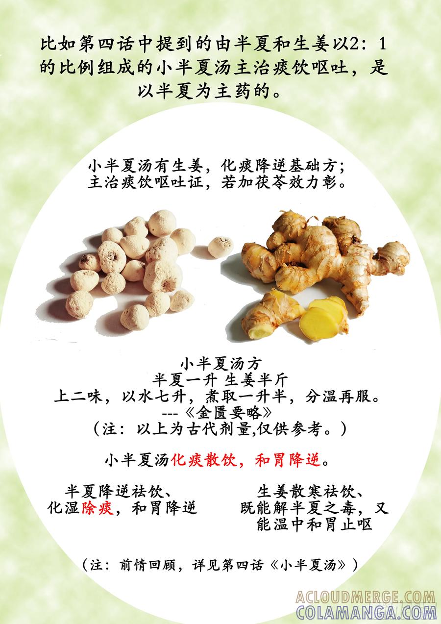 《本草传》生姜半夏汤 第2页